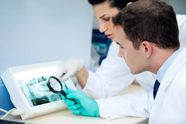 Equipe dentista analisando raio-x . — Fotografia de Stock