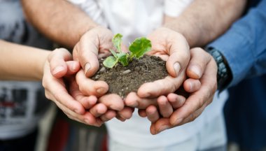 yeni bir hayat hakkında bakım