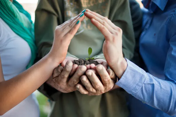 Protecting a young plant — Stock Photo, Image