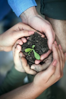 toprak bitki ile eller surround