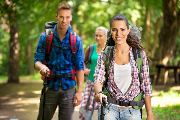 Hikers in mountains — Stock Photo, Image