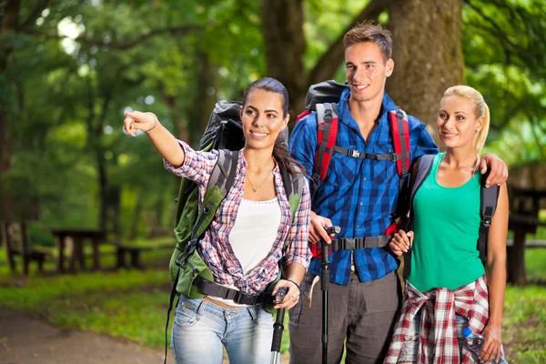 Hiking friends — Stock Photo, Image