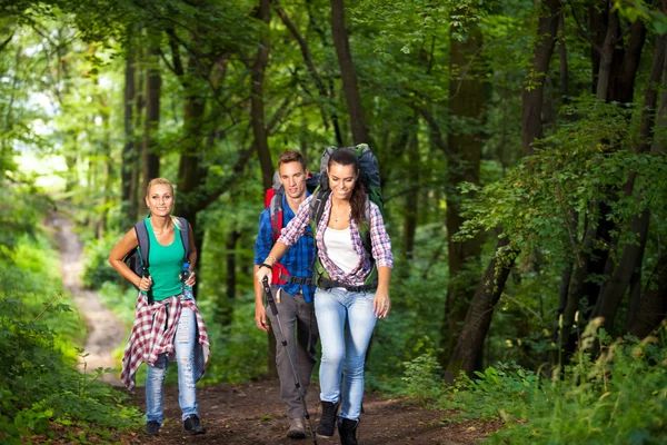 Caminhantes sorridentes na floresta — Fotografia de Stock