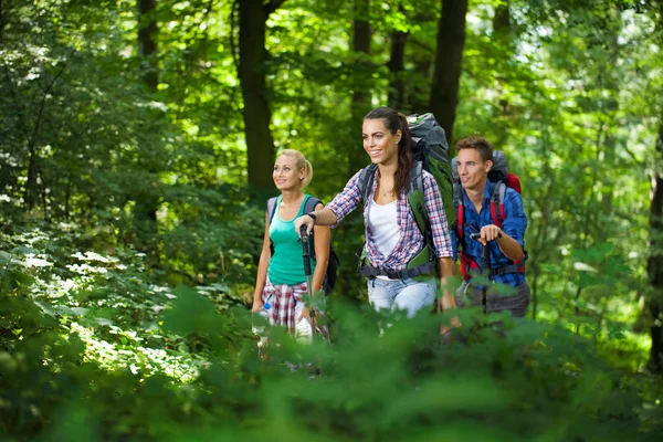 Groupe de jeunes randonneurs en montagne — Photo