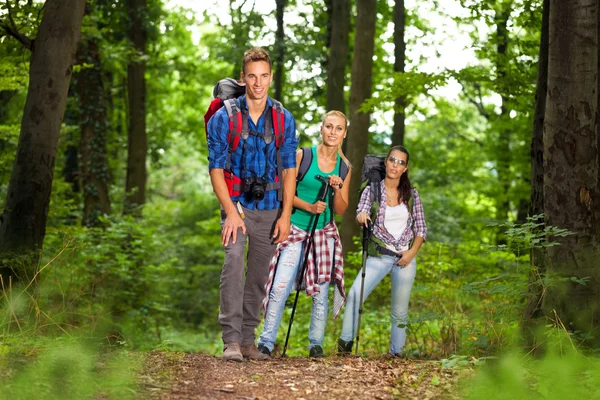 group of man and women during hiking excursion in woods