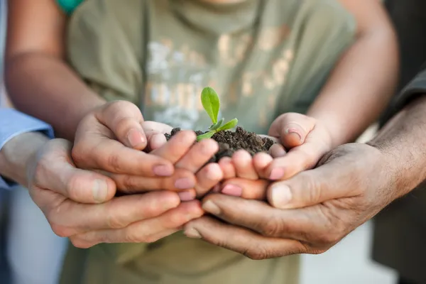 Mãos segurando planta no solo — Fotografia de Stock