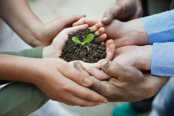 Growth — Stock Photo, Image