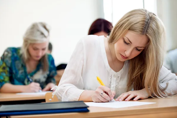 Pretty female student Stock Picture