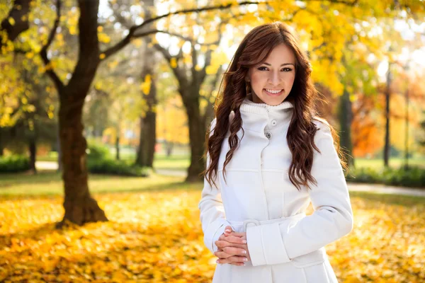 Beautiful girl in the autumn fall — Stockfoto