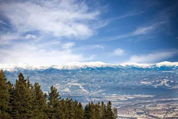 Winter landscape — Stock Photo, Image