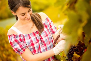 üzüm hasat neşeli kadın