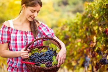 Young woman with basket full of grapes clipart
