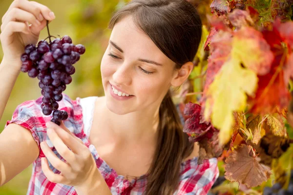 Donna allegra guardando uva grappolo — Foto Stock