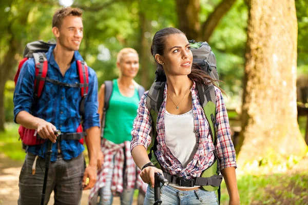 Group of friends hiking — Stock Photo, Image