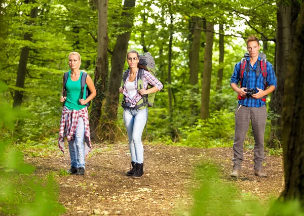 People in forest — Stock Photo, Image