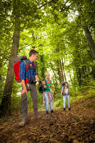 Group of hiker — Stock Photo, Image