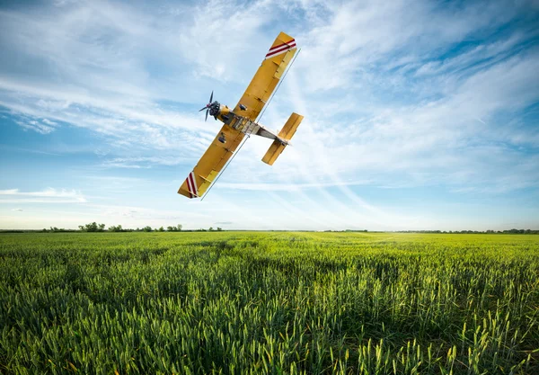 Plane cultures pulvérisées dans le champ — Photo