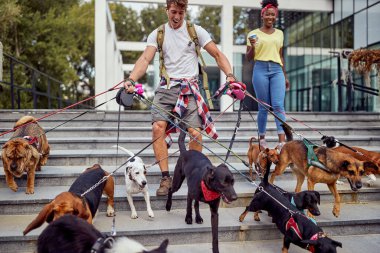 Sokakta köpekleri gezdiren mutlu genç köpek gezdirici