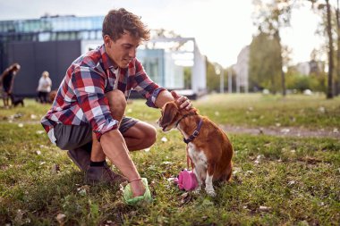 Erkek sahibi parktan köpek dışkısı topluyor.