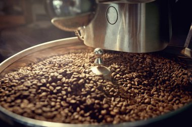 Makinede pişmiş taze kahve çekirdekleri. Kavrulmuş kahve çekirdekleri.