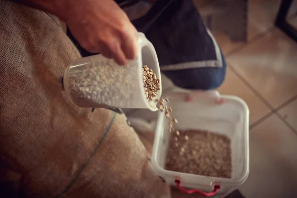 Εργαζόμενος Που Παρασκευάζει Νωπά Ωμά Φασόλια Καφέ Για Ψήσιμο — Φωτογραφία Αρχείου