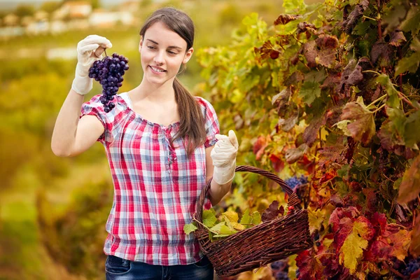 Femme jouissant dans son vignoble — Photo