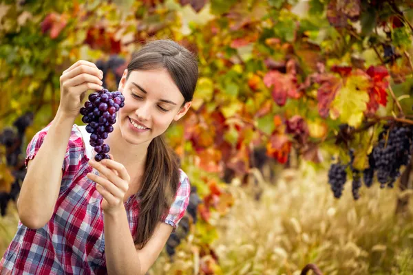 Woman with  bunch grape — Stock Photo, Image