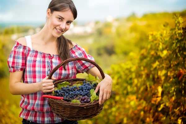 Woman with basket full of grapes — Stock Photo, Image