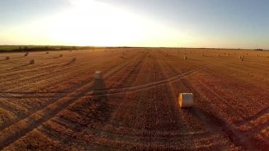 Hava: günbatımı hasat alanında üzerinde uçuş