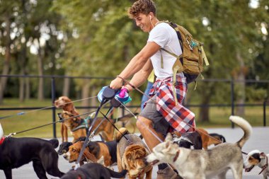 Genç erkek köpek gezdirici, köpek gezdirici yaşam tarzı.