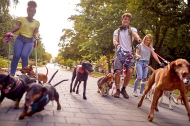 Dışarıda köpeklerle birlikte çalışan bir grup mutlu öğrenci.