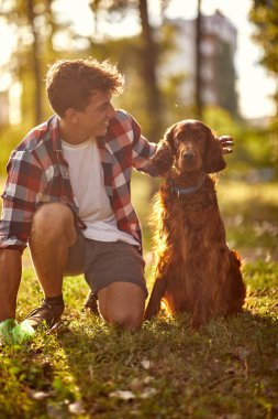 Genç bir erkek köpek sahibi parktan köpek dışkısı topluyor.