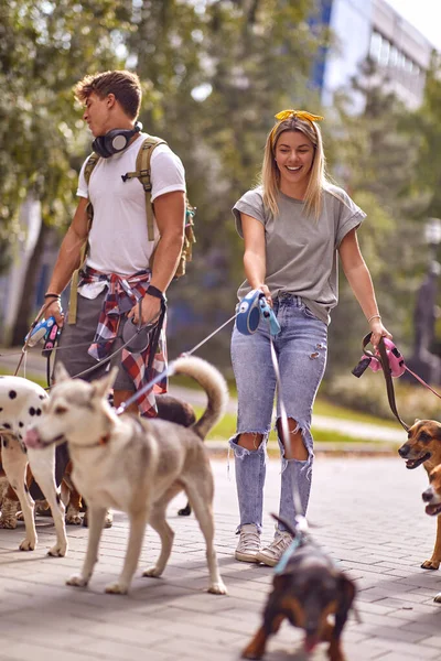 Smiling Woman Men Walking Group Dogs Enjoying Outdoors — Stock Photo, Image