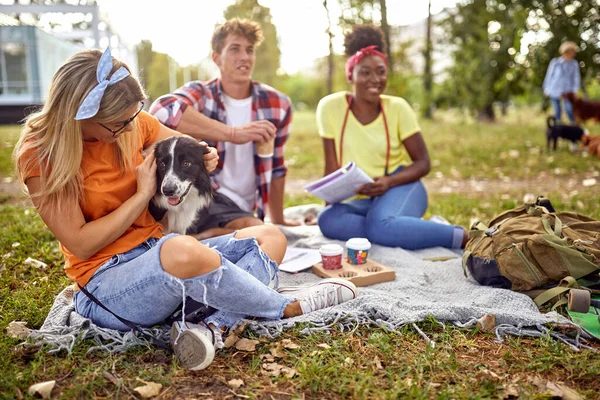 公園の美しい日に芝生の上に座ってコーヒーを楽しんでいる学生のグループがあります ペット ピクニック — ストック写真