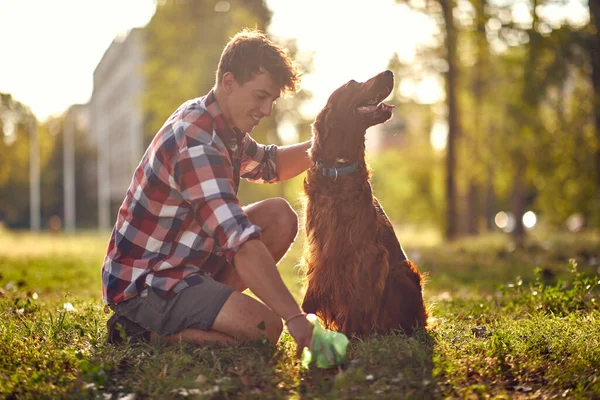 Young Guy Kneeling Grass Beautiful Day Park Collecting Poop His — Stock Photo, Image