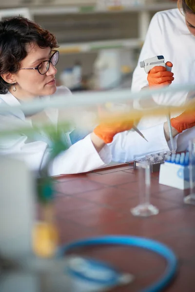 Vrouwelijke Laboratoriummedewerker Werkt Met Laboratoriumapparatuur Het Lab — Stockfoto