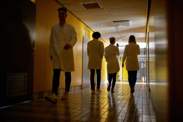 Fiatal Egészségügyi Dolgozók Sétálnak Kórház Folyosóján — Stock Fotó
