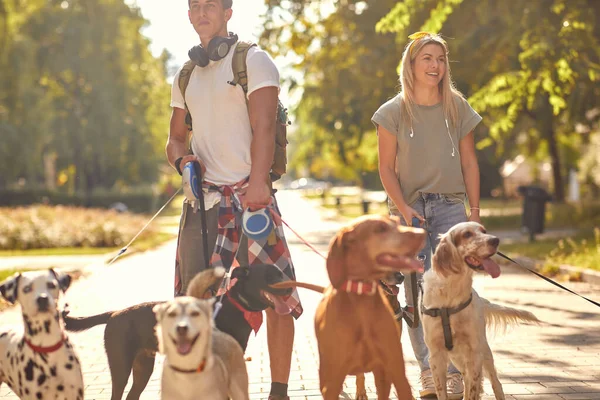 Professional Walkers Dog Enjoying Walk Dogs Outdoors — Stock Photo, Image