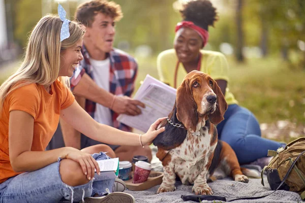 Grupo Estudantes Cachorro Estão Sentados Grama Belo Dia Parque Amizade — Fotografia de Stock