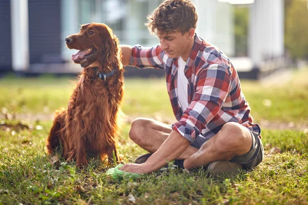 Young Guy Sitting Grass Beautiful Day Park His Dog Collecting — Stock Photo, Image