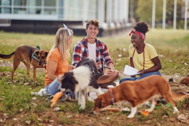 Bir grup öğrenci parkta köpekleriyle birlikte çimlerin üzerinde otururken fotoğraf çektirmek için poz veriyorlar. Arkadaşlık, dinlenme, hayvanlar, piknik