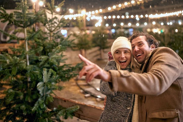 Birlikte Xmas ağacı seçen sevimli beyaz çift; Xmas Joy konsepti