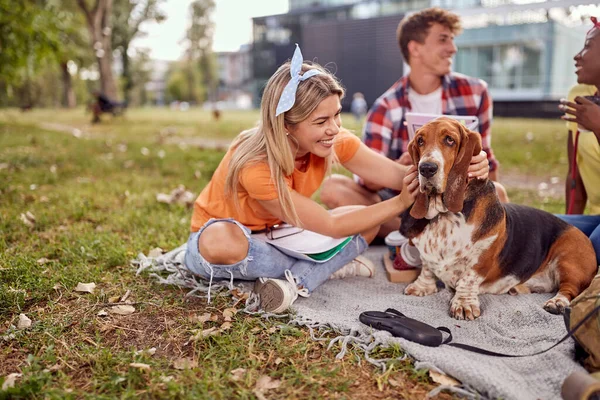 Słodki Pies Lubi Być Przytulany Przez Młodą Dziewczynę Siedzącą Trawie — Zdjęcie stockowe