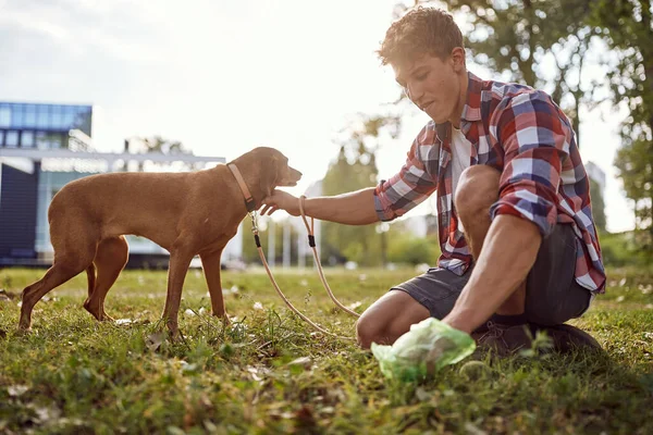 Young Guy Walking Beautiful Day Park His Dog Cleaning Poop — Stock Photo, Image