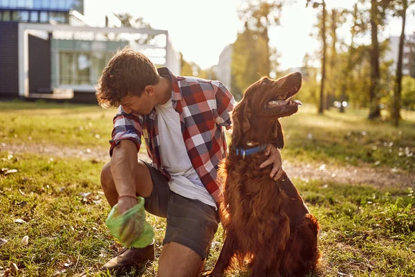 Young Man Disgusted Poop His Dog Which Collects Beautiful Day — Stock Photo, Image