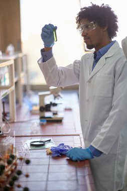 Laboratuvarın steril ortamında genç bir erkek öğrenci deney tüpünde kimyasal reaksiyon gözlemliyor. Bilim, kimyasallar, laboratuvar, insanlar