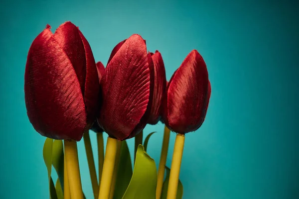 Vista Close Tulipas Vermelhas Sob Luz Frente Fundo Azul Natural — Fotografia de Stock