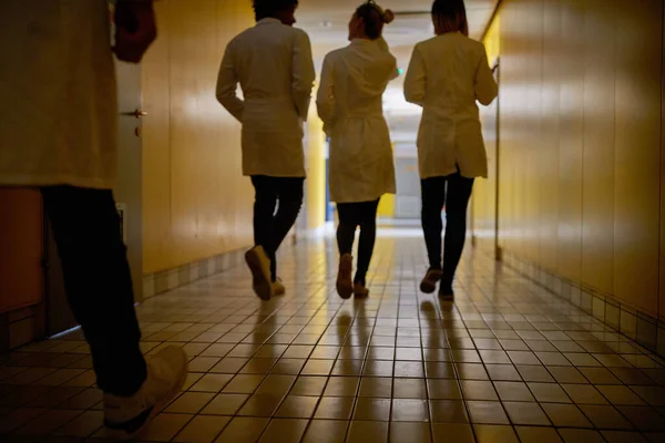 Giovani Studenti Chimica Chiacchierano Nel Buio Inquietante Corridoio Dell Edificio — Foto Stock