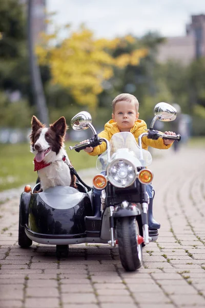 Gelukkig Kleine Jongen Rijden Een Speelgoed Motorfiets Met Zijn Hond — Stockfoto