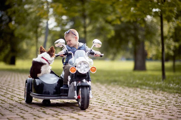 Kaukasische Kleuter Rijden Elektrische Motorfiets Speelgoed Met Zijspan Zijn Hond — Stockfoto